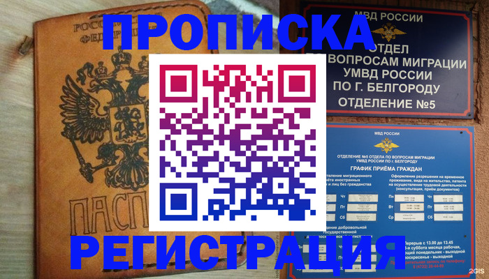 прописка для работы в Лыткарино